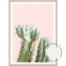 Pink Cactus - Love Your Space