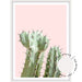 Pink Cactus - Love Your Space
