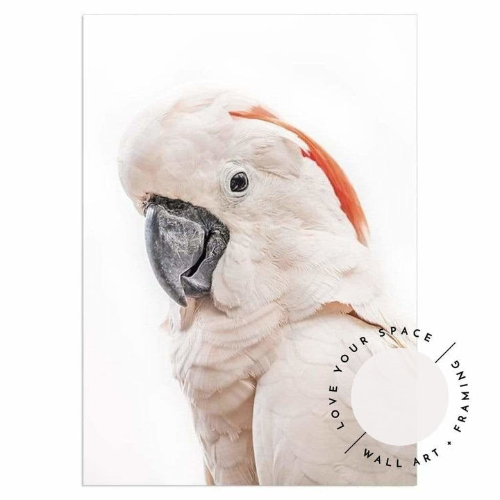 Pink Cockatoo - Love Your Space
