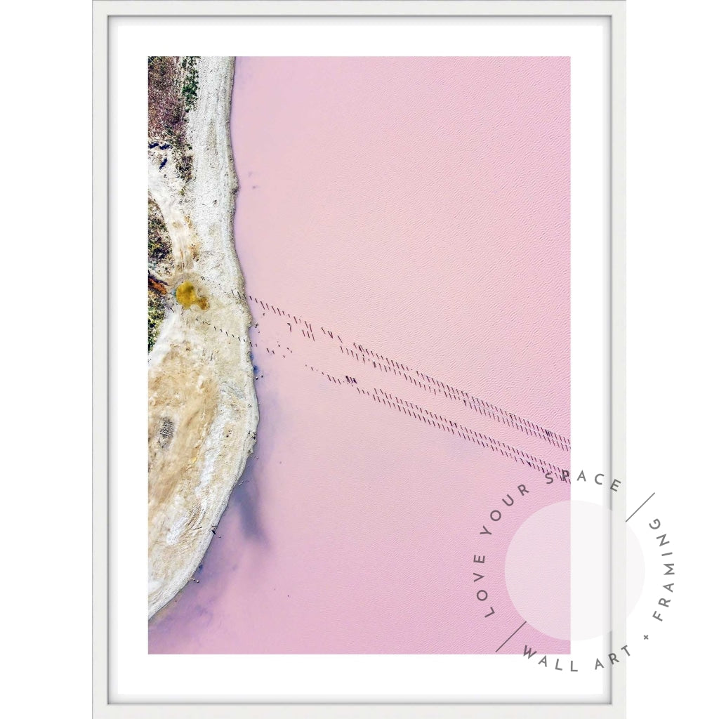 Pink Lake - Western Australia