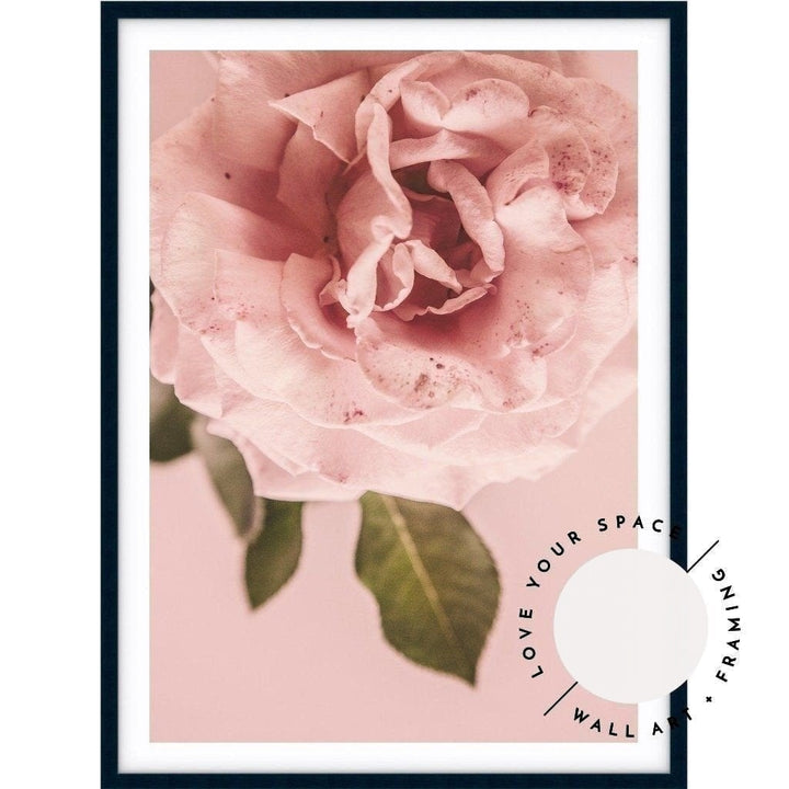 Pink Rose - Love Your Space