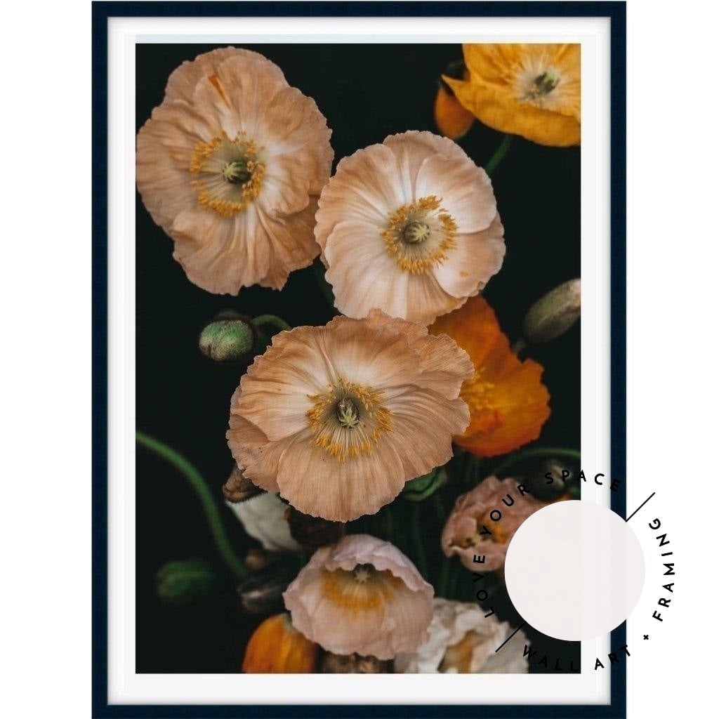Pretty Poppies no.4 - Love Your Space
