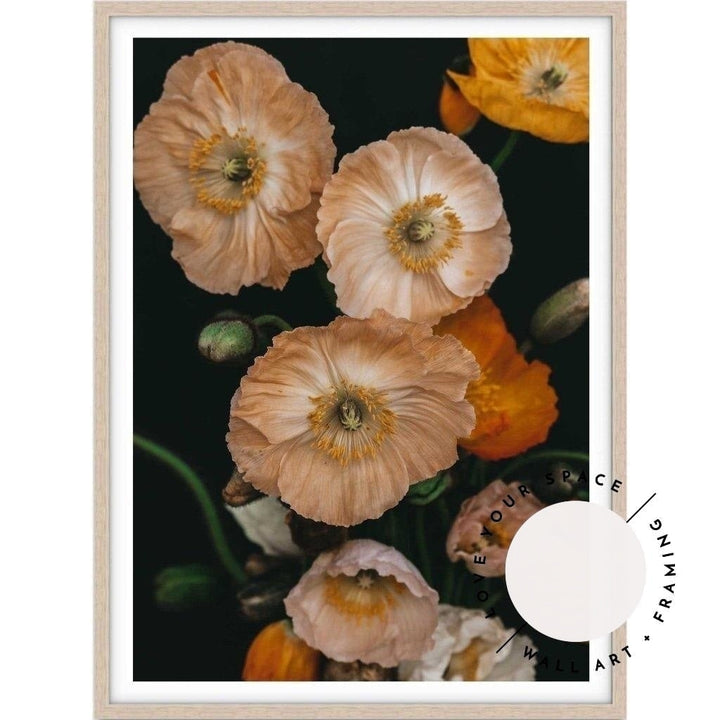 Pretty Poppies no.4 - Love Your Space