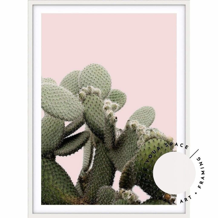 Prickly Pear On Pink - Love Your Space
