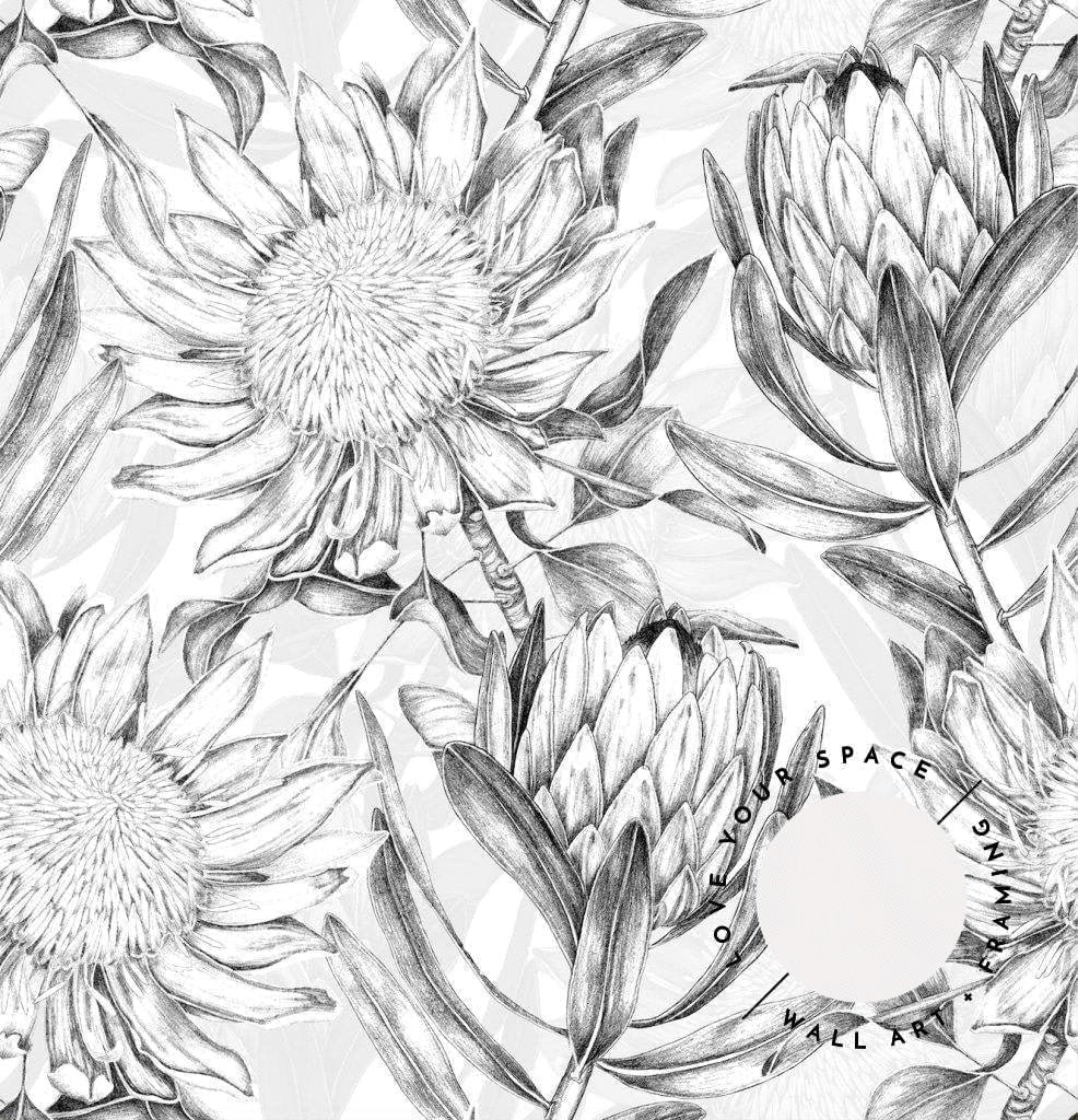 Protea Sketch Designer Wallpaper - Love Your Space