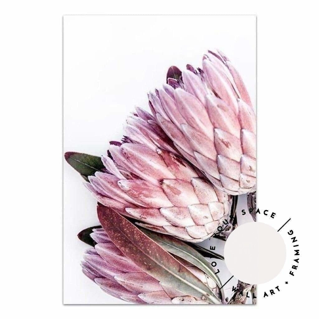 Protea V - Love Your Space