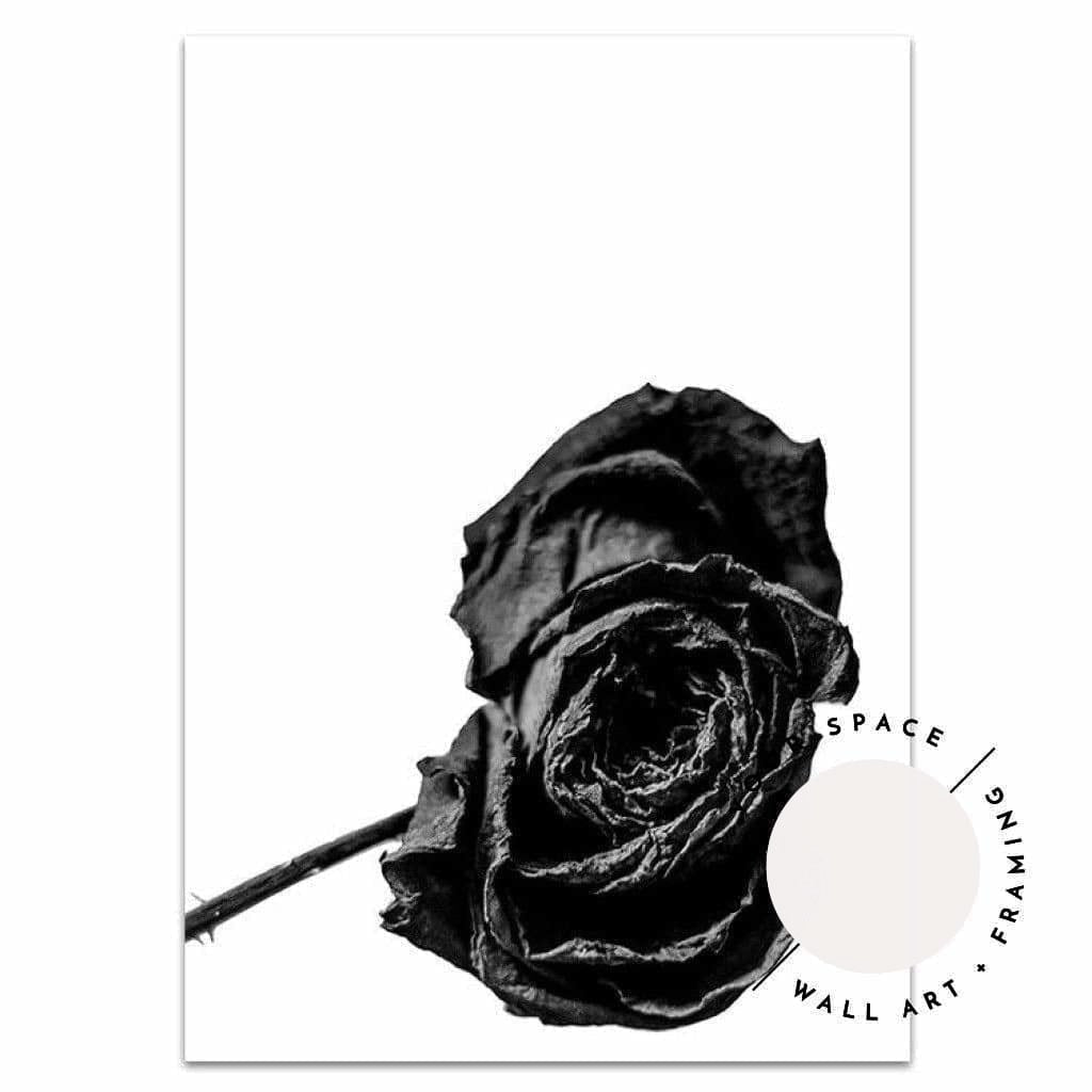 Red Rose B+W - Love Your Space
