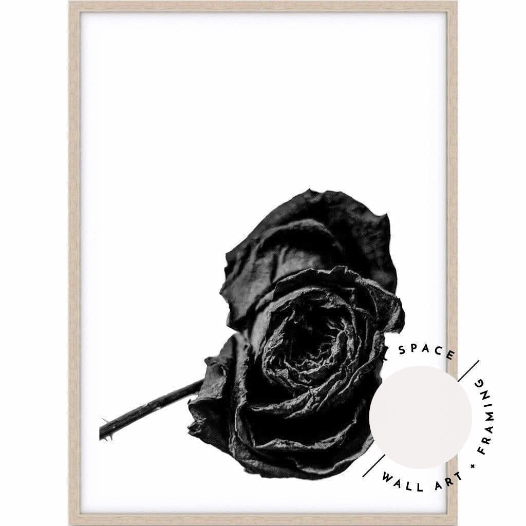 Red Rose B+W - Love Your Space