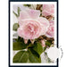 Rose Garden II - Love Your Space