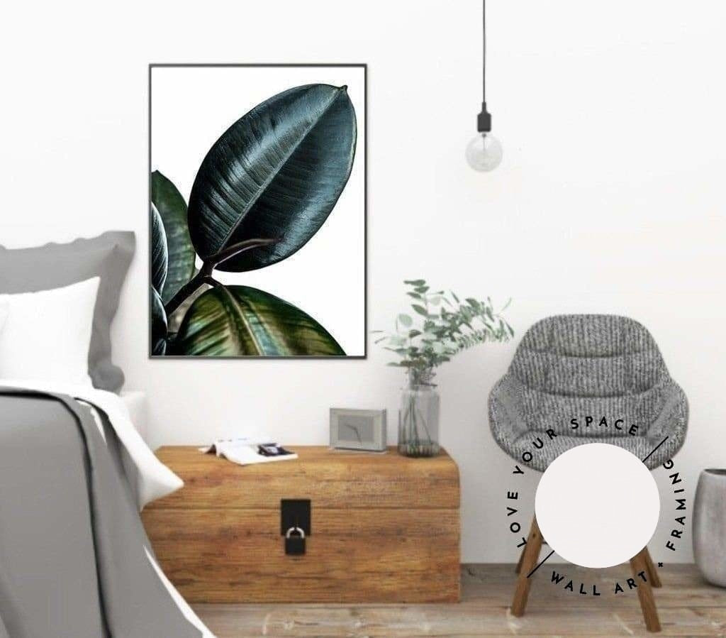 Rubber Ficus I - Love Your Space