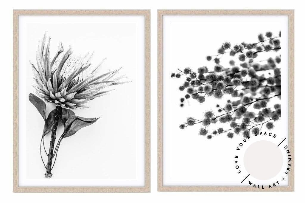 Set of 2 - Aged King I B+W + Wattle B+W - Love Your Space