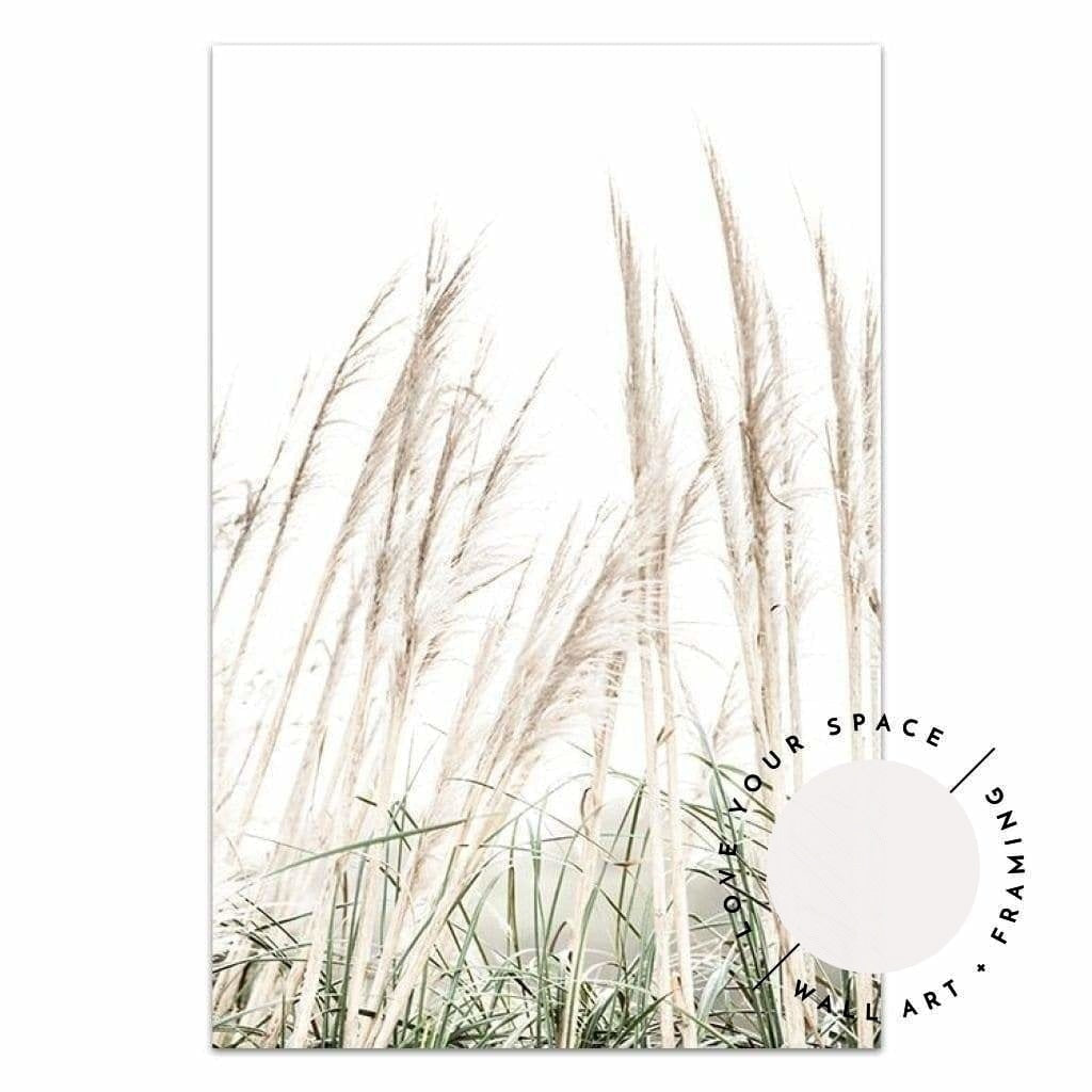 Set of 2 - Birds Eye View no.1 & Pampas Grass II - Love Your Space