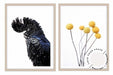 Set of 2 - Black Cockatoo + Billy Buttons - Love Your Space