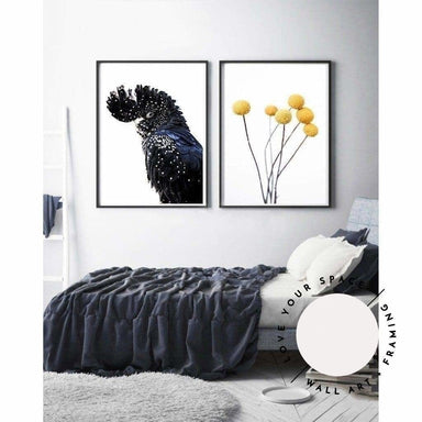 Set of 2 - Black Cockatoo + Billy Buttons - Love Your Space