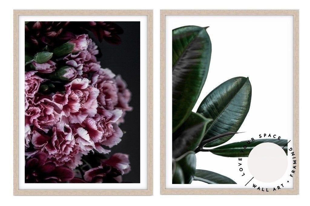Set of 2 - Carnations II + Rubber Ficus III - Love Your Space