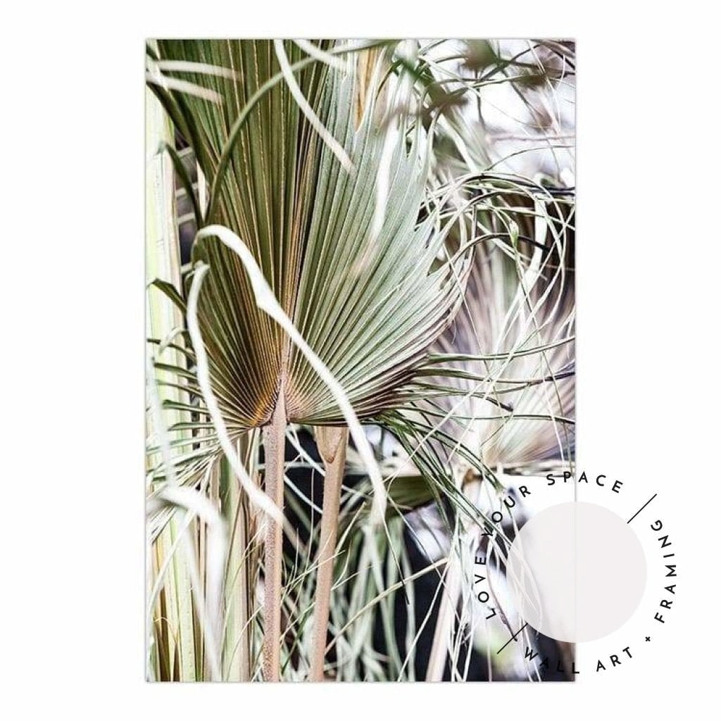Set of 2 - Messy Fan Palms no.1 & no.2 - Love Your Space