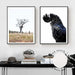 Set of 2 - Outback no.1 & Black Cockatoo - Love Your Space