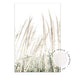 Set of 2 - Pampas Grass II & Dreamer Quote - Love Your Space