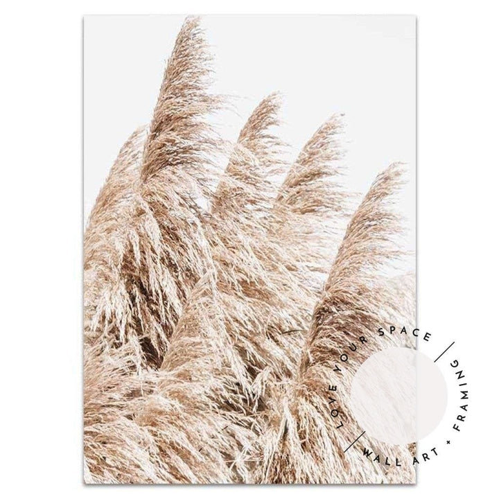 Set of 2 - Pampas Grass no.3 & Nelson Bay no.2 - Love Your Space