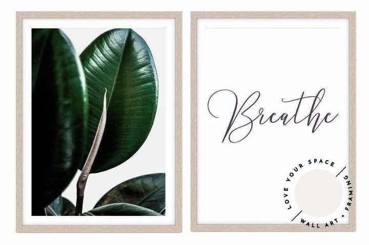 Set of 2 - Rubber Ficus II + Breathe - Love Your Space
