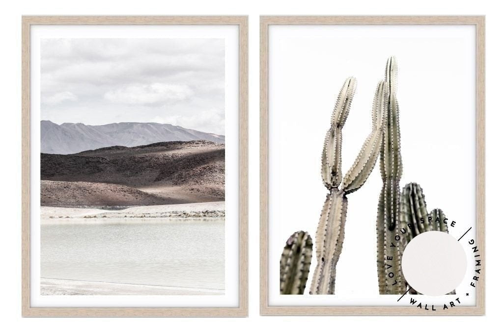 Set of 2 - The Southern Andes V & Prickly II - Love Your Space