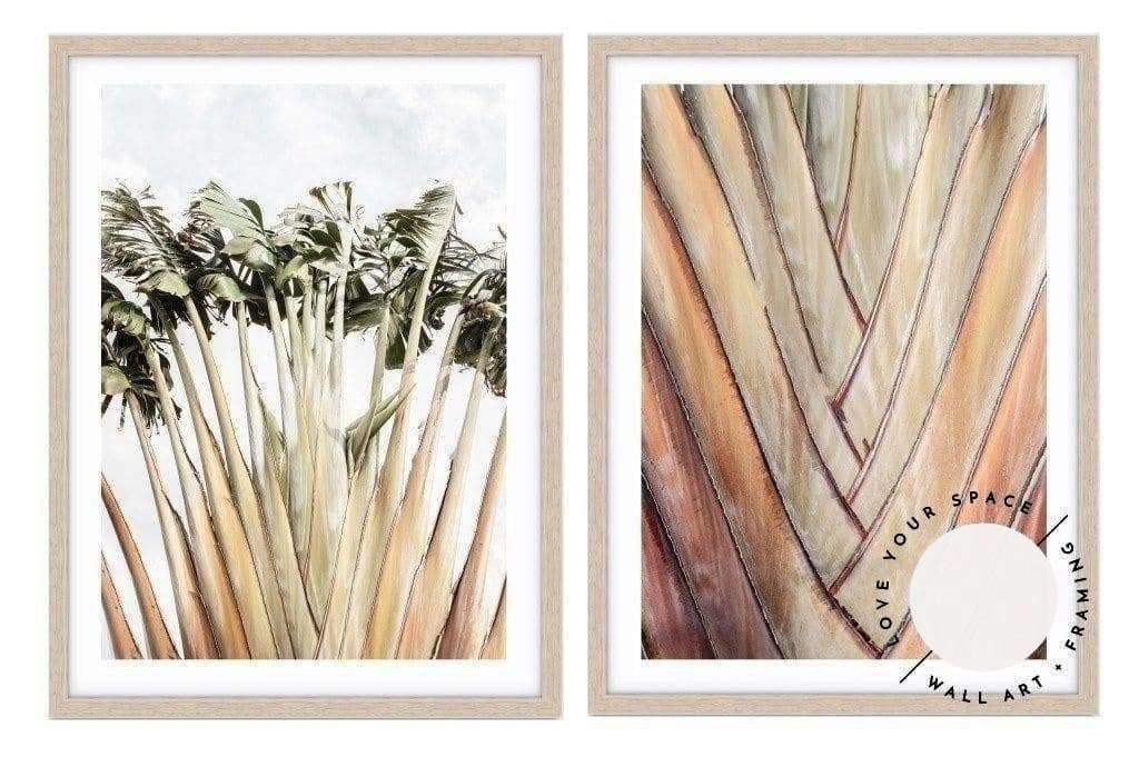 Set of 2 - Travellers Palm I + II - Love Your Space