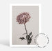 Set of 2 - Vintage Chrysanthemum I & II - Love Your Space