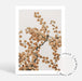 Set of 2 -Wattle IV & V - Love Your Space