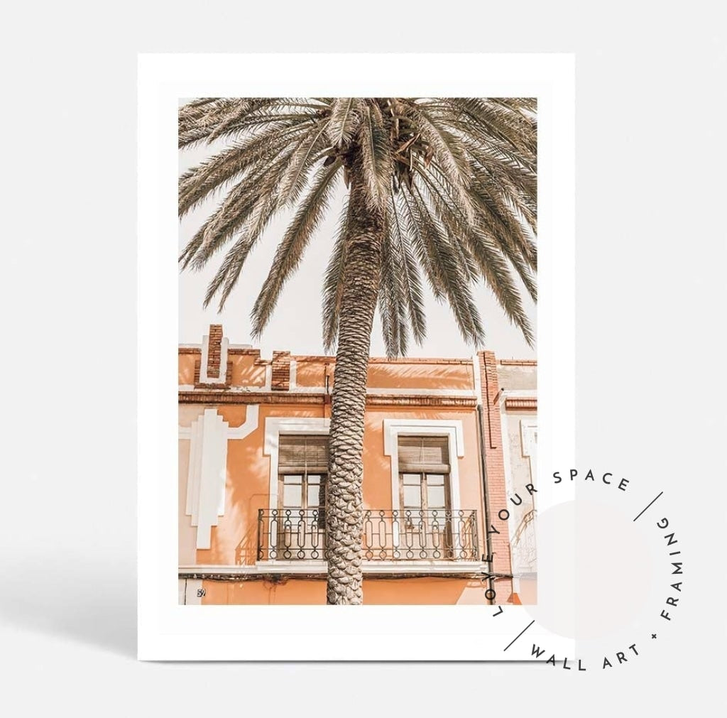Spanish Palm - Love Your Space