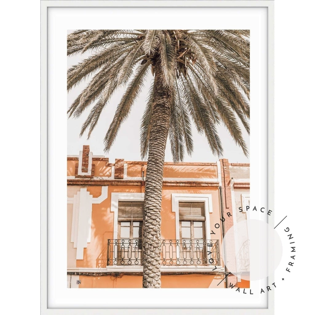 Spanish Palm - Love Your Space