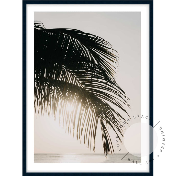 Sunset Palm