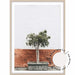Terracotta Wall - Santorini - Love Your Space