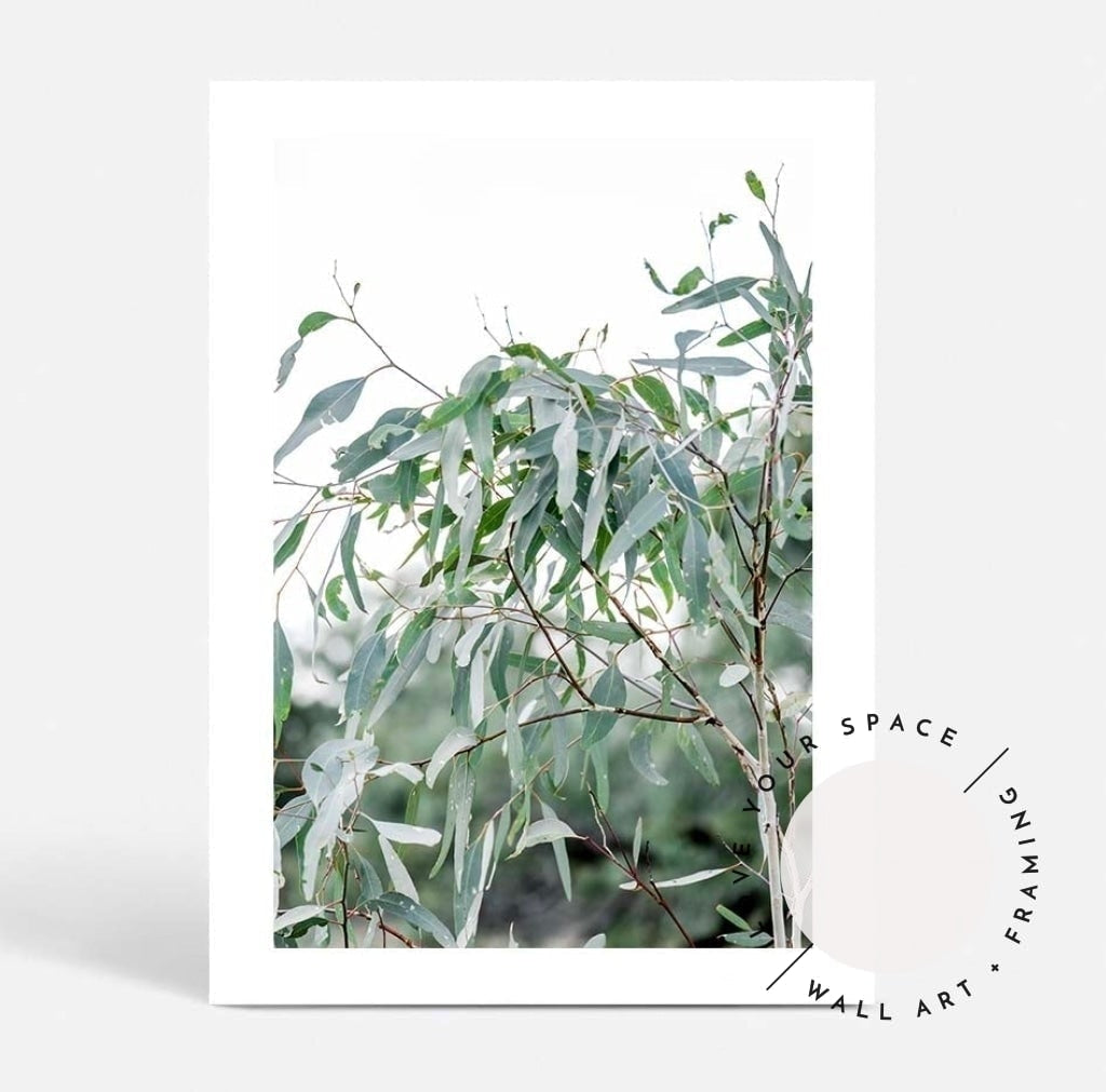 The Darling River Gum Leaves - Love Your Space
