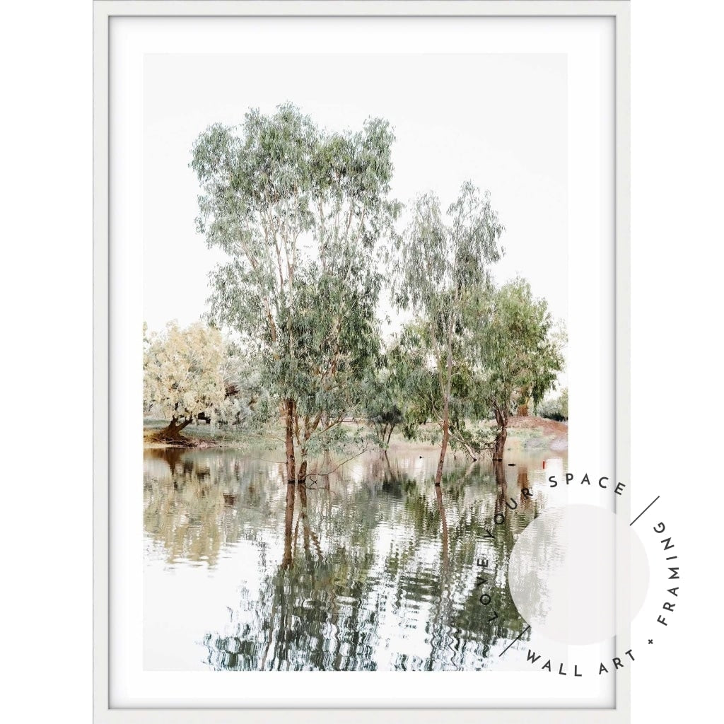 The Darling River Gum Trees I - Love Your Space