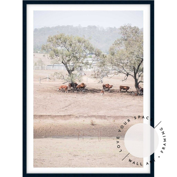 The Drought no.1 - The Hunter Valley - Love Your Space