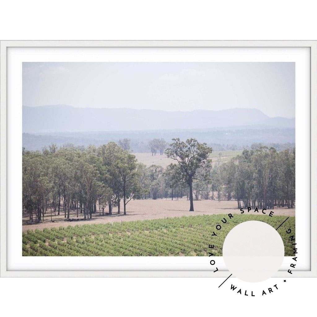 The Hunter Valley Vineyards - Love Your Space