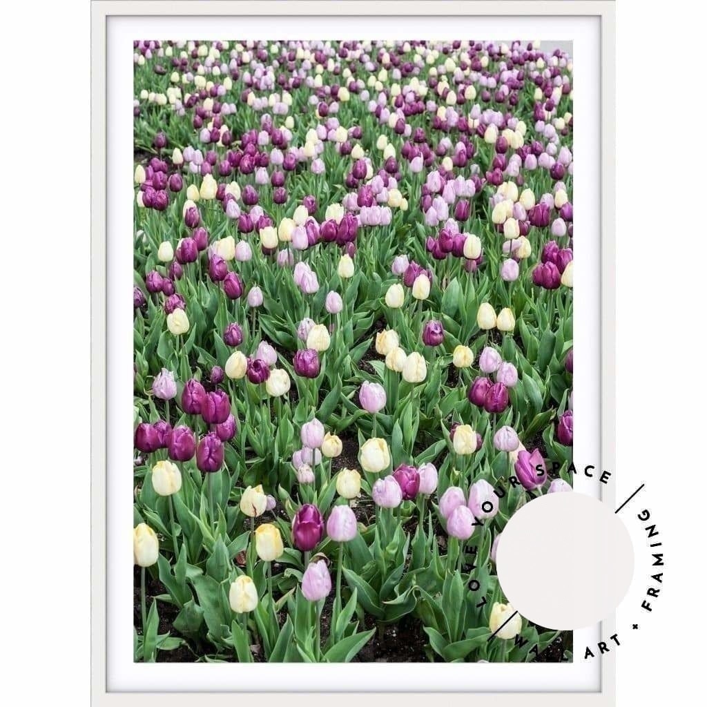 Tulip Field - Love Your Space