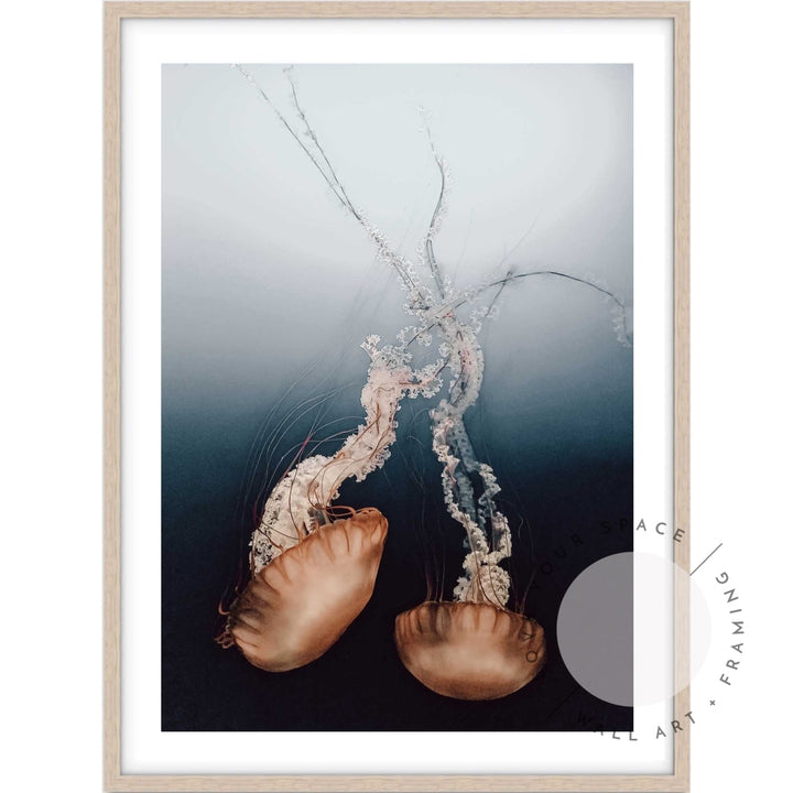 Twin Jellyfish