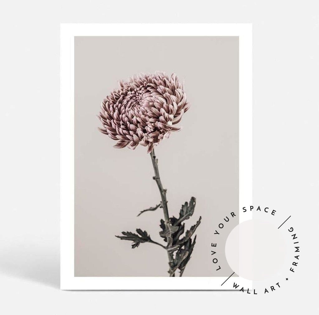 Vintage Chrysanthemums II - Love Your Space