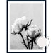 Vintage Rose II - Black & White - Love Your Space