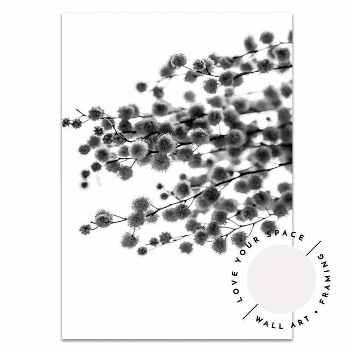 Wattle I - Black & White - Love Your Space