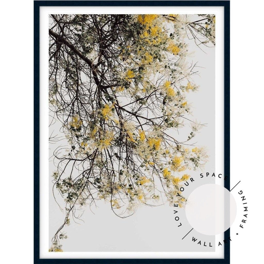 Wattle Tree - Love Your Space