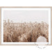 Wheat Farm III - Love Your Space