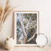 White Gum - Nelsons Bay - Love Your Space