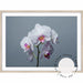 White Orchid - Love Your Space